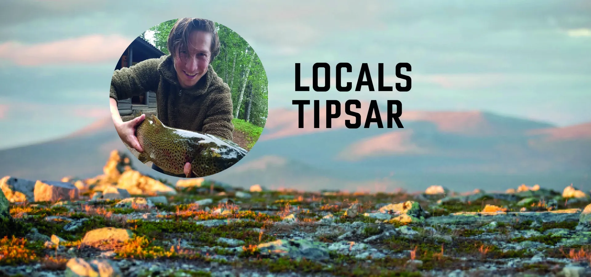 Locals tipsar - jerre  