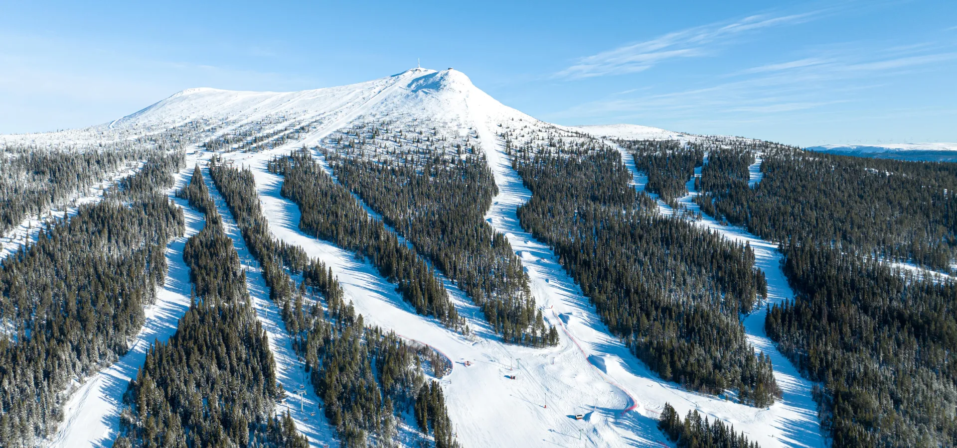 Distansarbete i Lofsdalen 