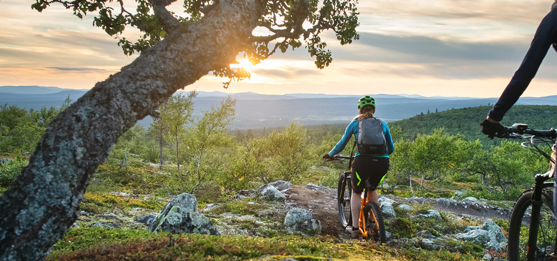 Cykla i Lofsdalen på cykelsemester