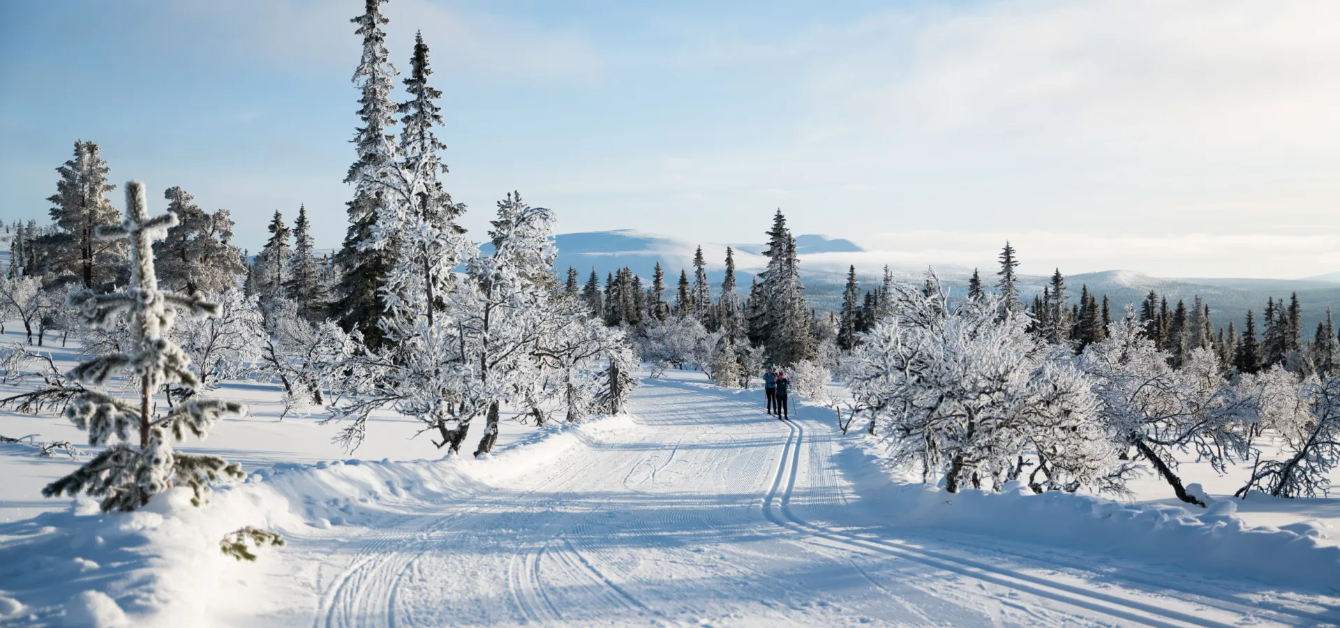 Längdspår i Lofsdalen