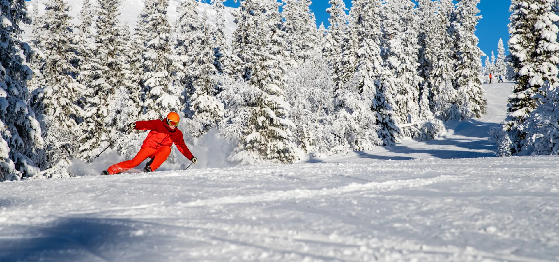 Distansarbete i Lofsdalen 