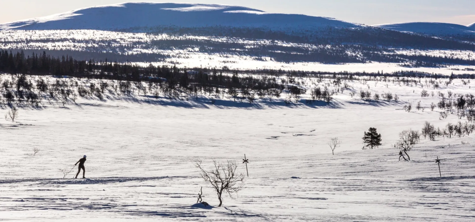 Längdskidor i Lofsdalen