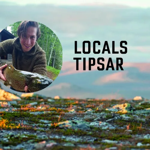 Locals tipsar - jerre  