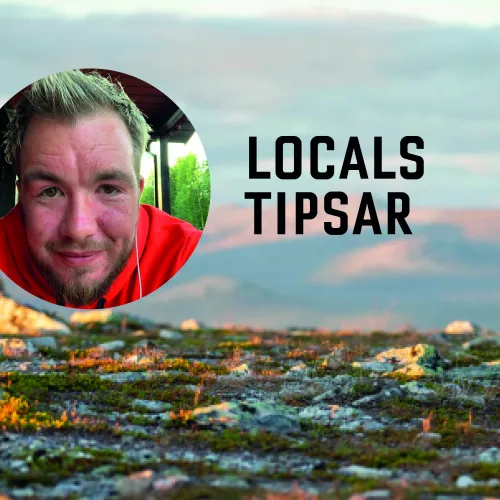 Locals Tipsar - kristoffer