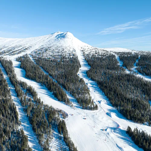 Distansarbete i Lofsdalen 