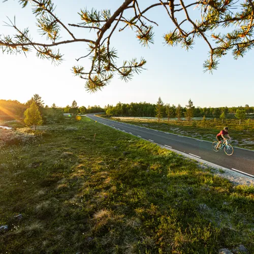 Landsvägcykling Lofsdalen