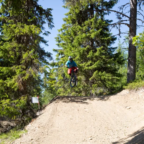 Blizzard downhill trail i Lofsdalen Bike park