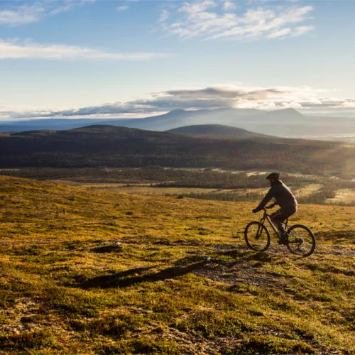 cykelfjäll