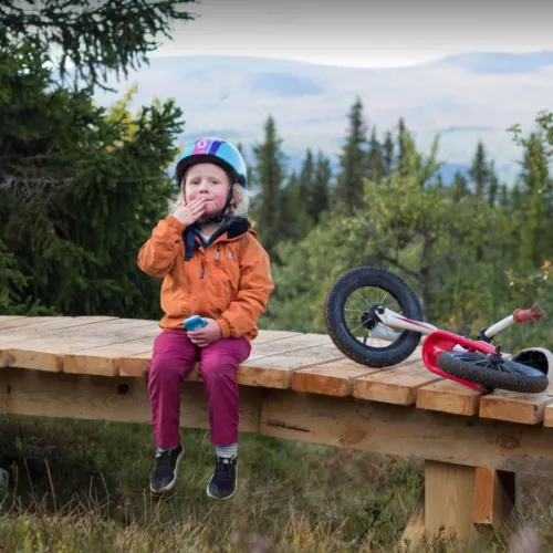 cykla i lofsdalen