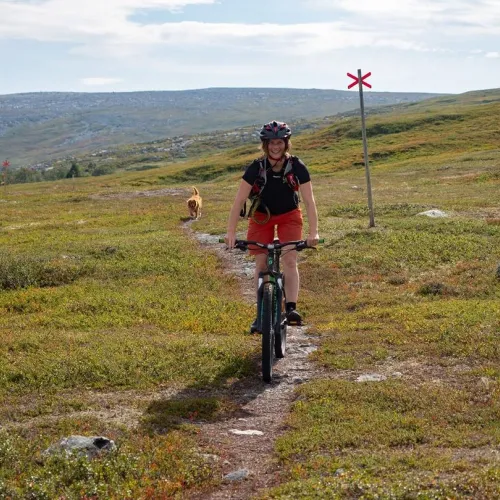 pilgrimsleden mtb