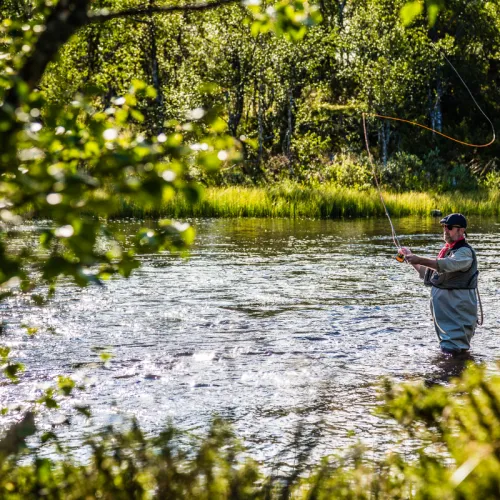 fiska i Lofsdalen