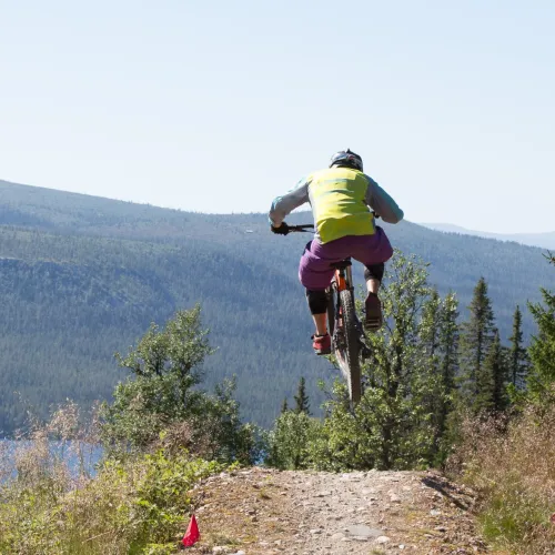 Downhill i Lofsdalen