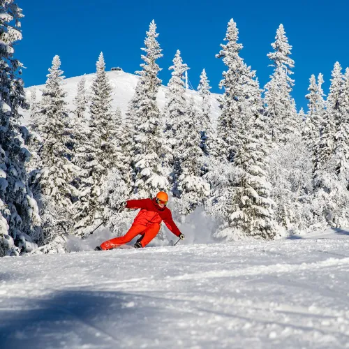 Distansarbete i Lofsdalen 