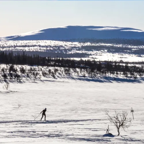 Längdskidor i Lofsdalen