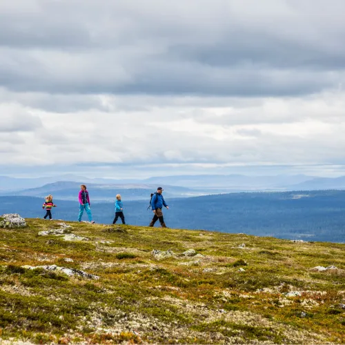 familj i lofsdalen