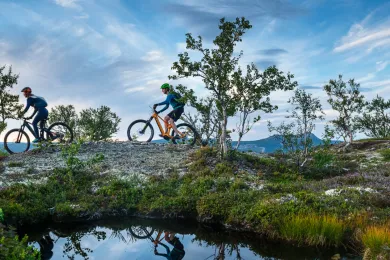 Stigcykling i Lofsdalen