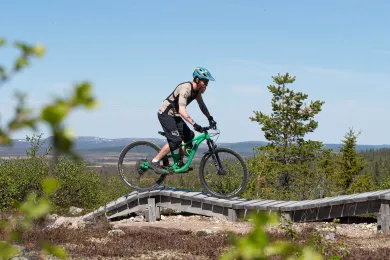 Stigcykling i Lofsdalen