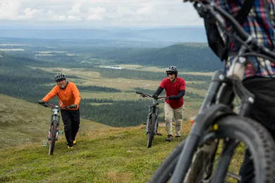 Downhill in Lofsdalen