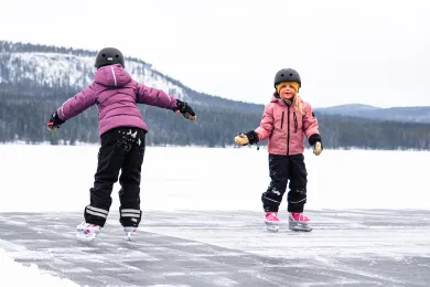 Skidskoåkning