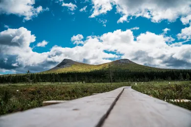 Karta över Lofsdalen