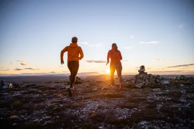 Vandra i Lofsdalen