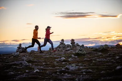 Trailrunning lofsdalen