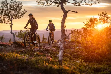 Downhill i Lofsdalen