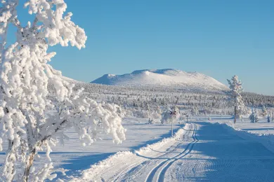 Turskidåkare i Lofsdalen