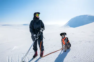 Hund i Lofsdalen 