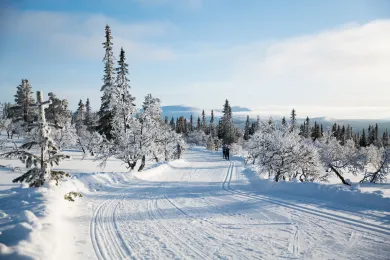 Längdskidåkning i Lofsdalen