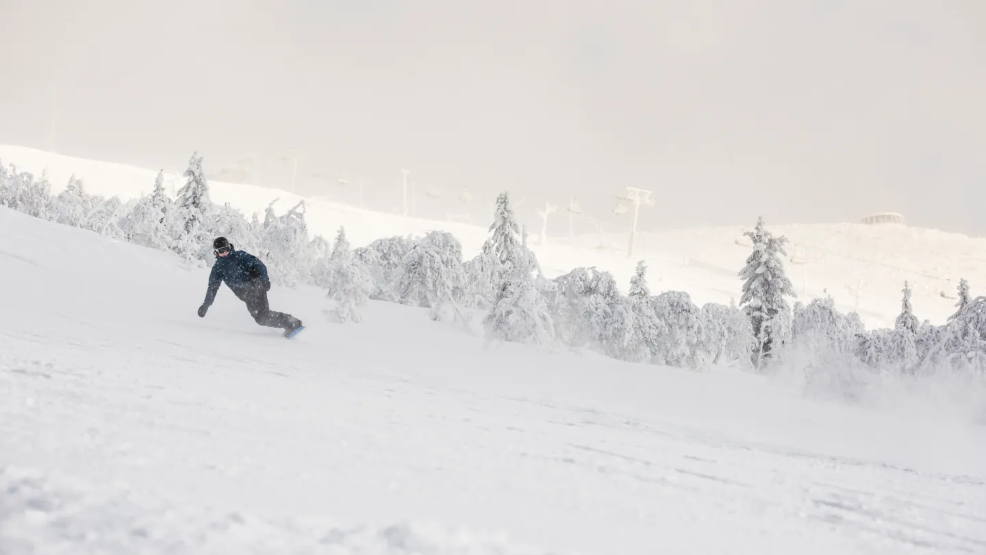 snowboard