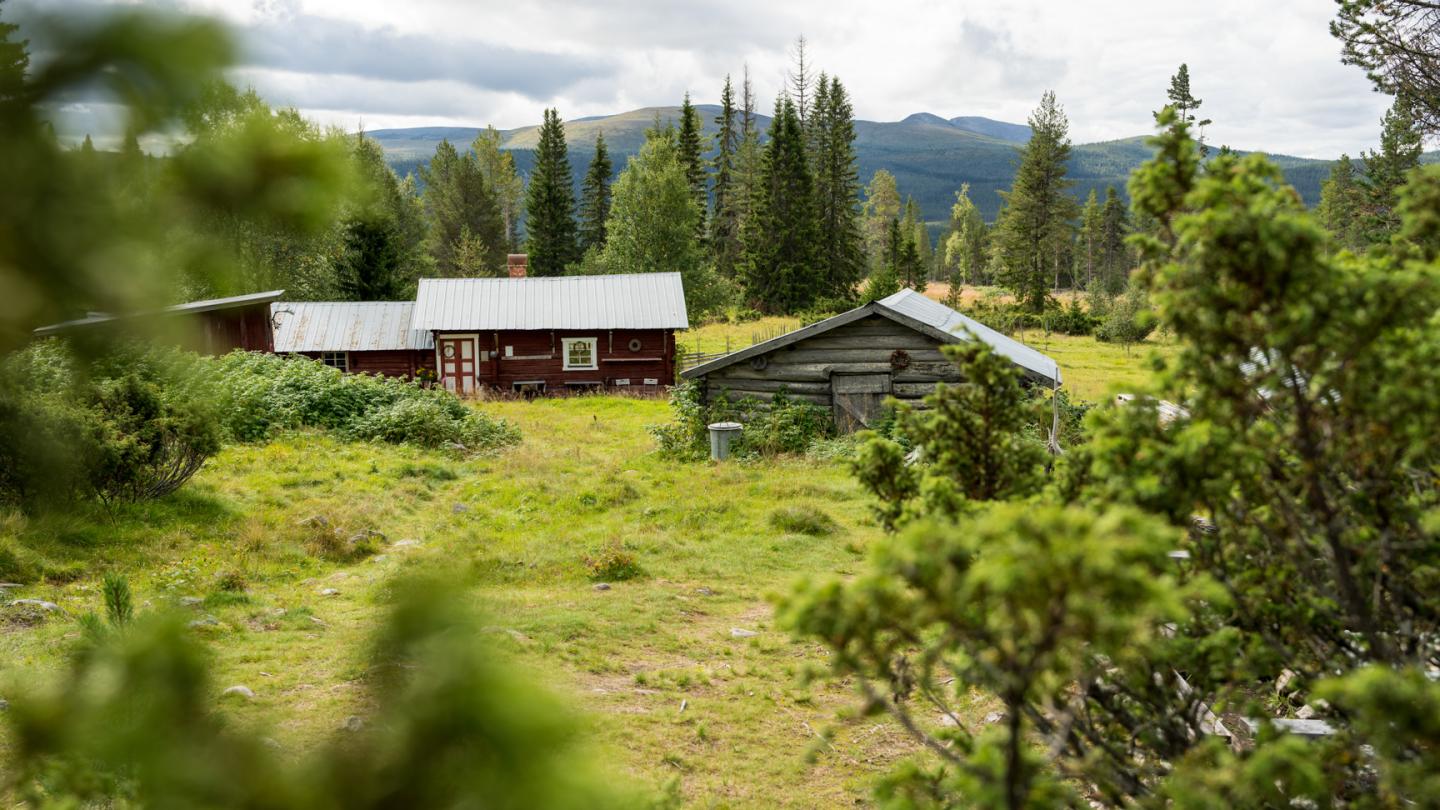 Uppvallens fäbod