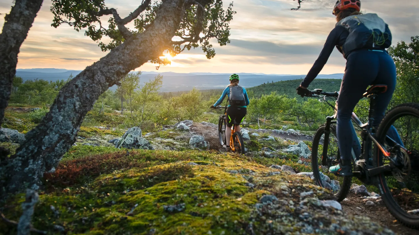 cykling sommar