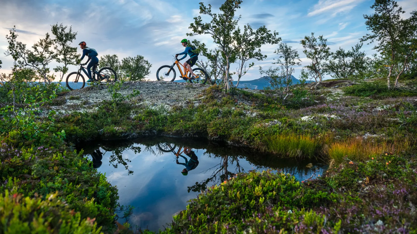 cykling sommar