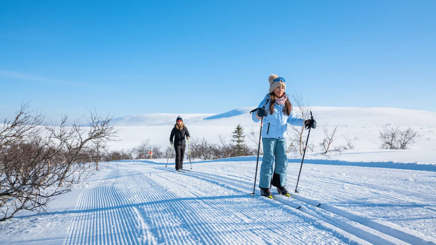 Vårvinter Lofsdalen