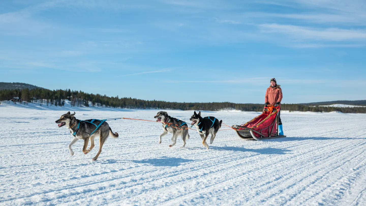 Vårvinter Lofsdalen